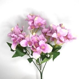 Lilac Pink Hydrangea Bush 30cm