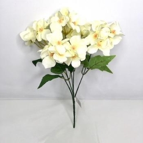 Ivory Hydrangea Bush 30cm
