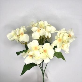 Ivory Hydrangea Bush 30cm