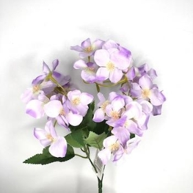 Lilac Hydrangea Bush 30cm