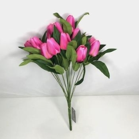 Cerise Tulip Bush 40cm