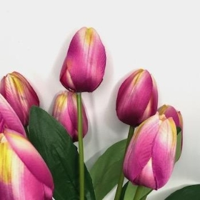 Purple Cream Tulip Bush 43cm