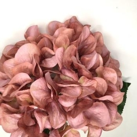 Dusky Pink Hydrangea 54cm