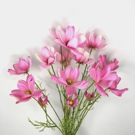 Pink Coreopsis Bundle 59cm