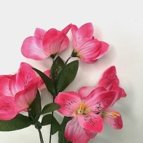 Cerise Alstro Bush 31cm