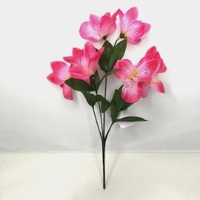 Cerise Alstro Bush 31cm