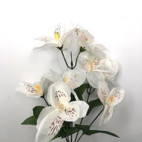 Ivory Alstro Bush 31cm 