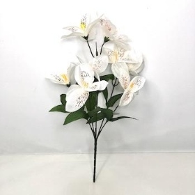 Ivory Alstro Bush 31cm 