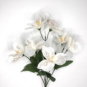 Ivory Alstro Bush 31cm 