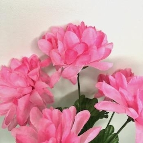 Pink Chrysanthemum Bush 32cm