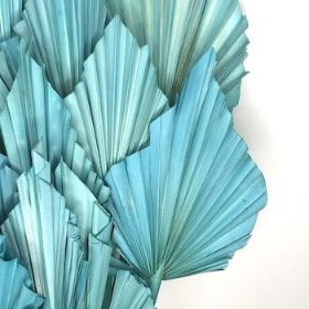 Dried Teal Blue Palm Spear 50cm x 10