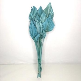 Dried Teal Blue Palm Spear 50cm x 10