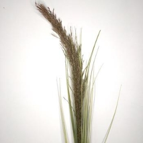 Grass And Pampas Spray 115cm