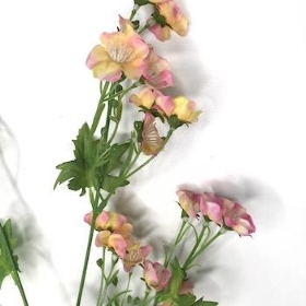 Pink Seventh Heaven 73cm