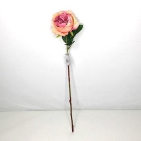 Peach Mauve Garden Rose 44cm