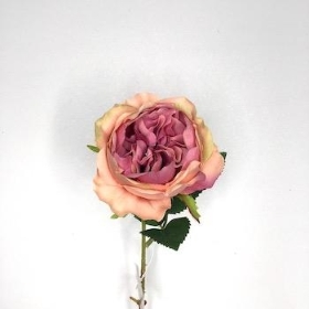 Peach Mauve Garden Rose 44cm
