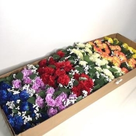 48 x Assorted Carnation Bush 27cm