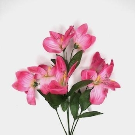 48 x Assorted Alstro Bush 31cm
