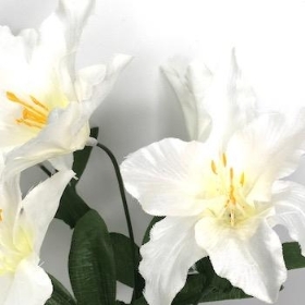 Ivory Lily Bush 33cm