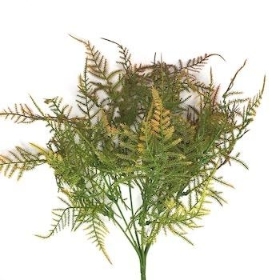 Brown Asparagus Fern Bush 34cm