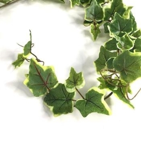 Variegated Ivy Garland 140cm
