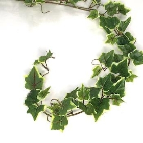 Variegated Ivy Garland 140cm