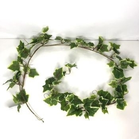 Variegated Ivy Garland 140cm