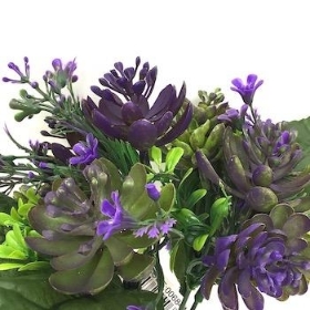Purple Succulent And Foliage Bush 25cm