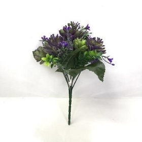 Purple Succulent And Foliage Bush 25cm