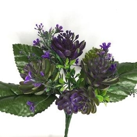 Purple Succulent And Foliage Bush 25cm
