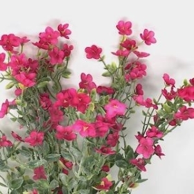 Cerise Blossom And Foliage Bush 43cm
