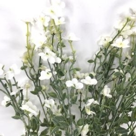 Ivory Blossom And Foliage Bush 43cm