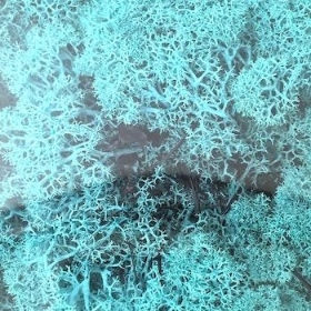 Turquoise Reindeer Moss