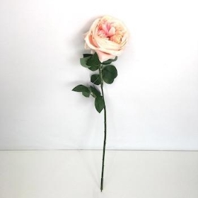 Peach Pink Garden Rose 53cm