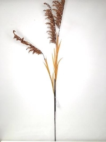 Orange Pampas Spray 130cm