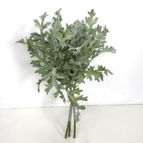 Green Dusty Miller Bundle 35cm