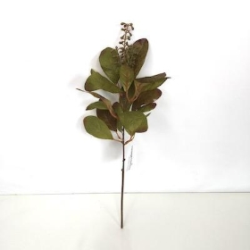 Green Brown Ficus Spray 37cm