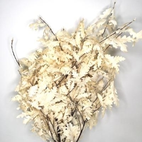 Dried Bleached Oak Leaf 70cm