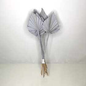 Dried Grey Misty Palm Spear 50cm x 10