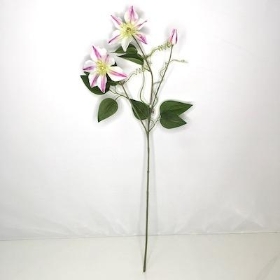 Pink Clematis 73cm