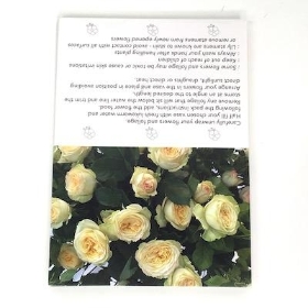 Pale Yellow Rose Folding Card x 25