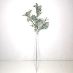 Green Dusty Miller 74cm