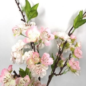 Pink Fuji Blossom 47cm