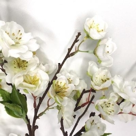 Ivory Fuji Blossom 47cm