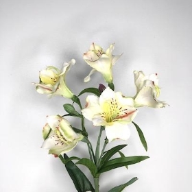Ivory Alstro 72cm