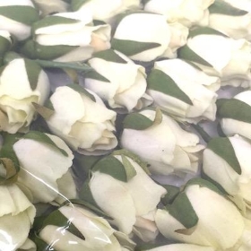 Ivory Rosebud Pick x 32