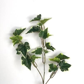 Variegated Ivy Spray 55cm