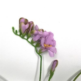 Lilac Freesia 49cm