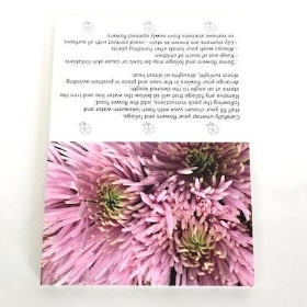 Pink Chrysanthemum Folding Card x 25 