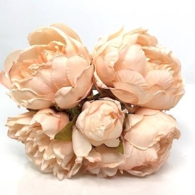 Peach Peony Bundle 25cm